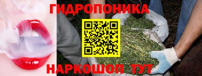 сатива Гусиноозёрск