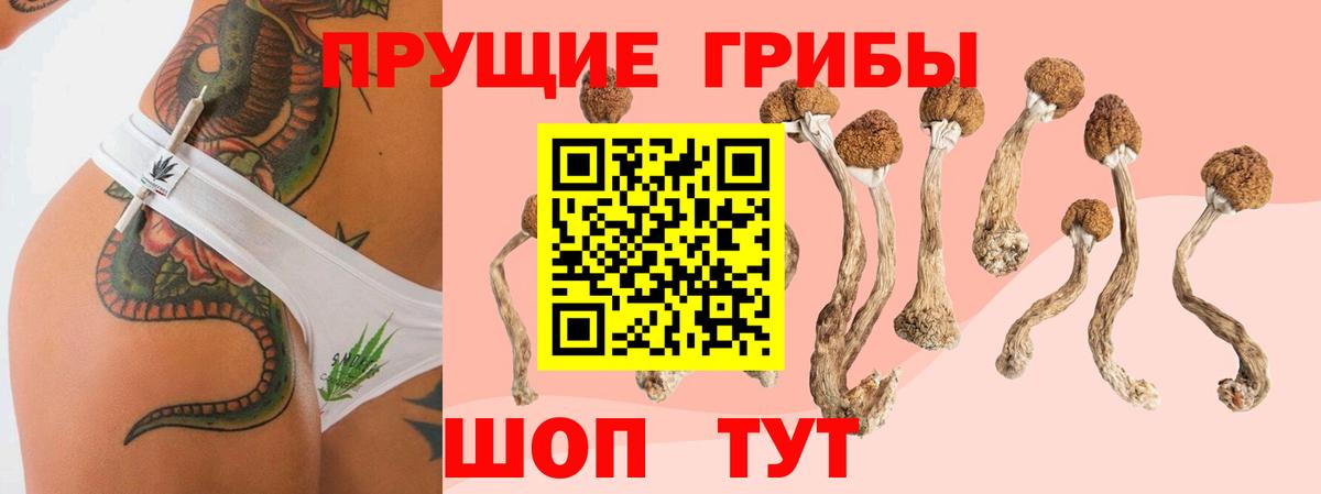 Меф МЯУ МЯУ  МАРИХУАНА  МЕФ кристаллы  Кокаин  Конопля  ГАШ  ГАШИШ  Великий Устюг  Вход с VPN 